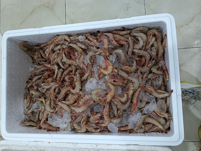 Al Baladiyah Street, الفهد، بيشة 67711