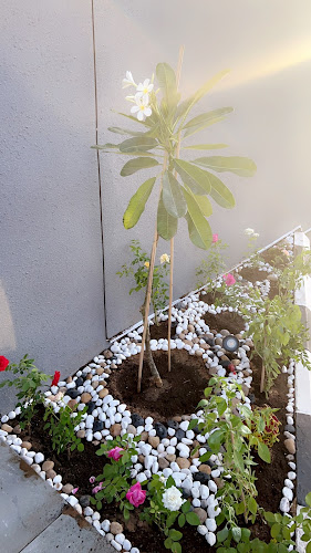 Opinii despre مجمع كفيهات în تبوك - الضيافة