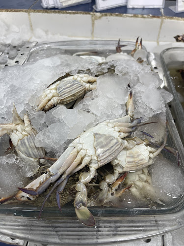 أصداف الجزر للأسماك - الضيافة