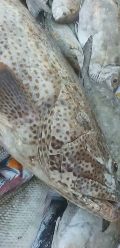 محل بدر عبد الروؤف المطرود - الضيافة