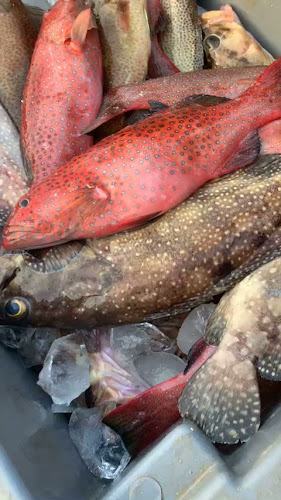 Opinii despre مطعم القبطان للاسماك الطازجة în الليث - الضيافة