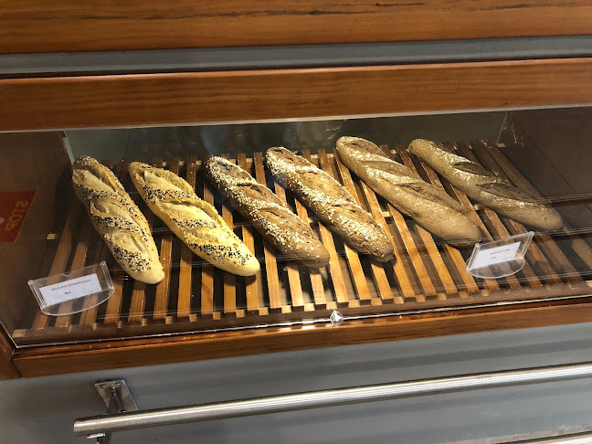 Comentarii opinii despre دير بيكر