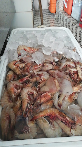 Comentarii opinii despre أسماك نوارة الإسكندرية