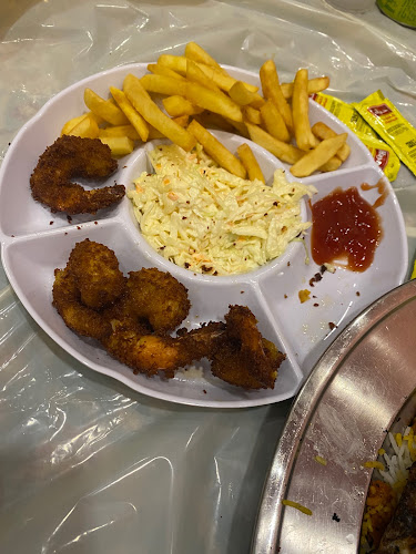 Comentarii opinii despre مشخول