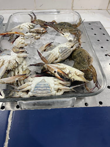 أصداف الجزر للأسماك - الرياض