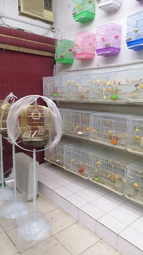 Opinii despre محل جنة الاحساء în الهفوف‎ - الضيافة