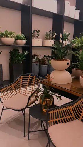 Comentarii opinii despre نباتات