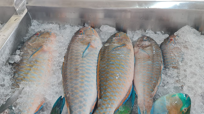 مطعم صيد البحر للأسماك