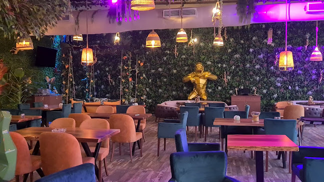 the Monkey's Lounge - الضيافة