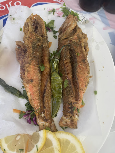 Opinii despre أسماك نوارة الإسكندرية în الرياض - الضيافة