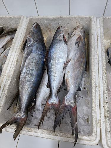 Al Baladiyah Street, الفهد، بيشة 67711