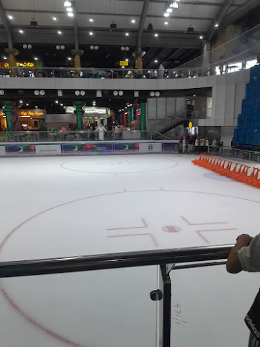 التنين - الضيافة