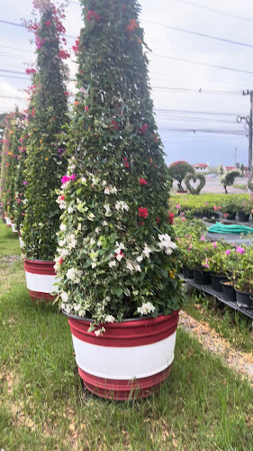 Opinii despre دكان البلدي للمنتجات المصرية în الرياض - الضيافة