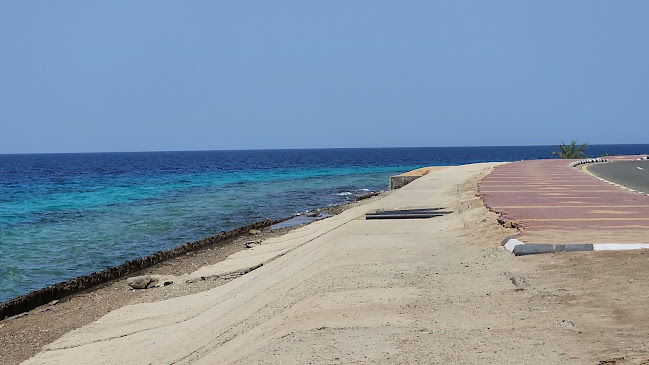 The blue beach - املج