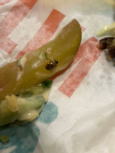 بروتين العزيزيه - المدينة المنورة