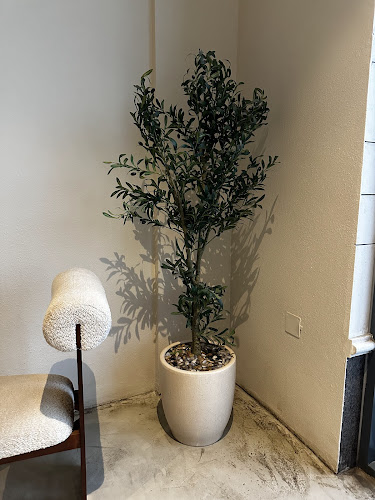 15august - الضيافة