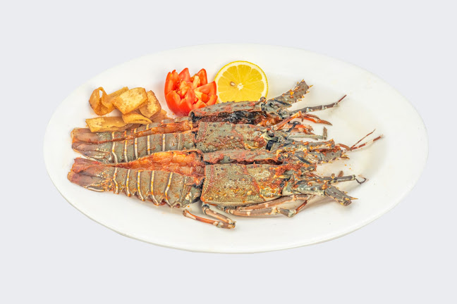 اسماك البحر - جدة