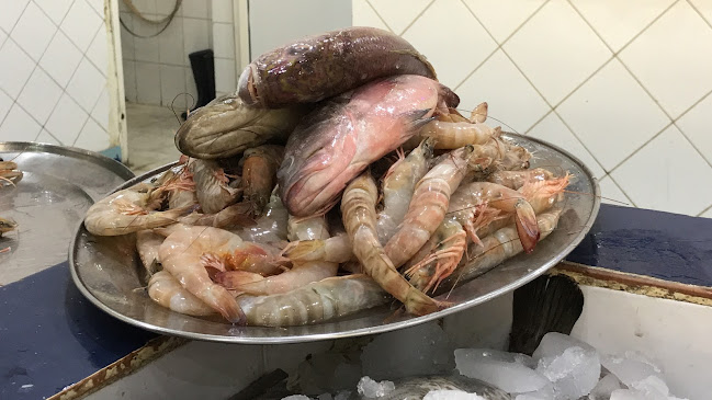 ابن سينا، المروج، الرياض 11564