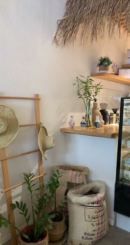 سمبريرو - الضيافة