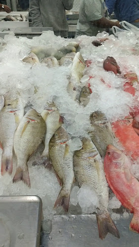 9113 فالح بن صغير، المربع، الرياض 12631