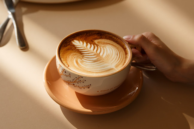 ام سي سي - الضيافة