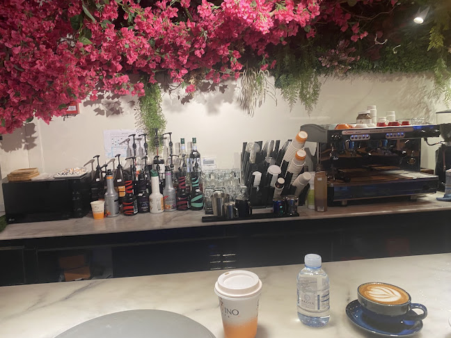 2625 شارع فلسطين، 7600، الحمراء،، جدة 23212