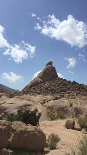 كافي - الضيافة