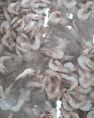 Comentarii opinii despre سمكنا أسماك طازجة ومشوي ومقلي