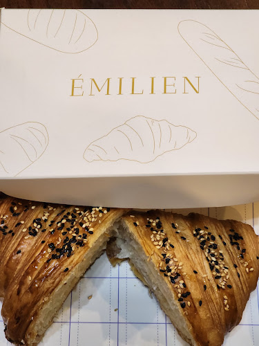 Comentarii opinii despre إميلين