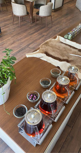 Comentarii opinii despre دم غزال