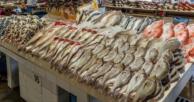 سوق اللحوم و الأسماك - الخرج