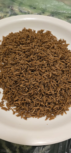 Opinii despre مطعم صيد البحر للأسماك în مكة - الضيافة