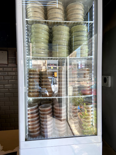 ممشى الشوقية، شارع إبراهيم بن عبد الله العنقري، ولي العهد، مكة 24353