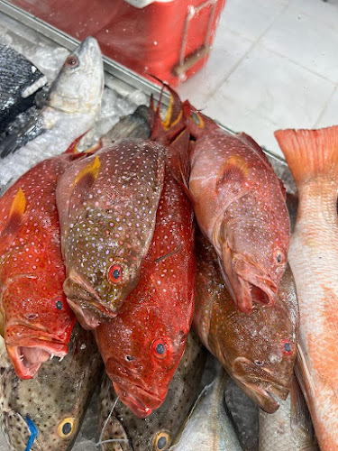 Comentarii opinii despre مطعم اسماك ومخبازة الخيمة للمأكولات الشعبية