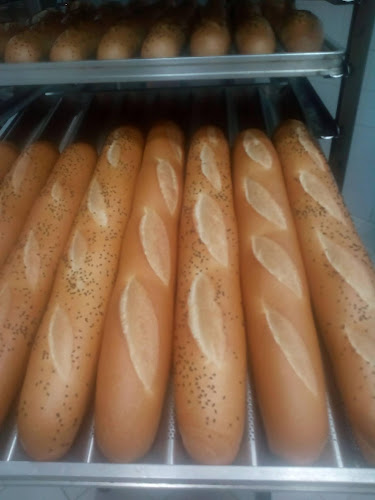 Comentarii opinii despre المخبز