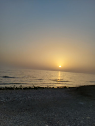 Comentarii opinii despre Jeddah Memories