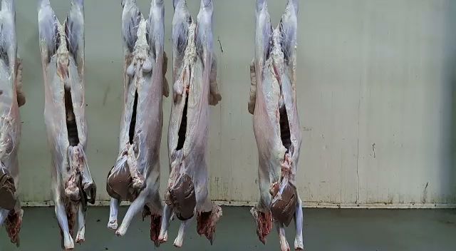 مركز بن عوض للحوم و الخضروات و الفواكة - جدة