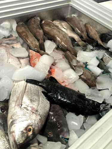 الصياد للاسماك - الضيافة