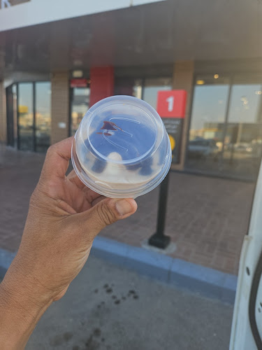 ماكدونالدز - حفر الباطن