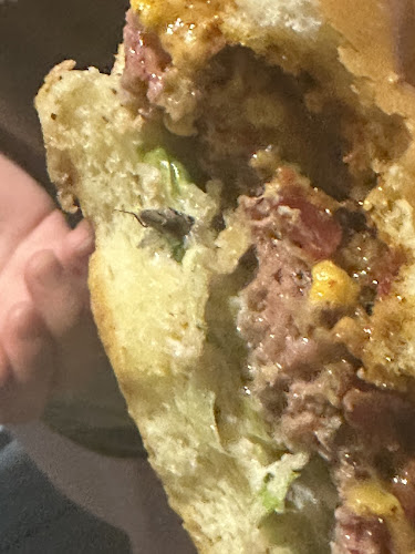 Section-B - BOH | سكشن-بي - بي أو أيتش