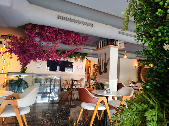 Comentarii opinii despre كفينو كافية