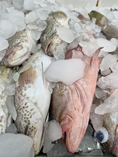 Opinii despre أصداف الجزر للأسماك în الرياض - الضيافة