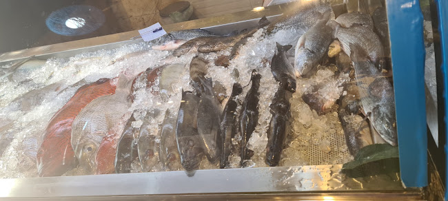 Comentarii opinii despre أسماك المينا جده