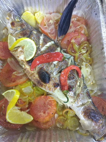 أسماك نوارة الإسكندرية - الرياض