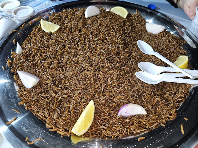 مطعم العوائل المينا للأسماك للمأكولات البحرية ينبع Mina Seafood Restaurent - ينبع