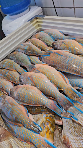 Comentarii opinii despre بيت البركة للأسماك