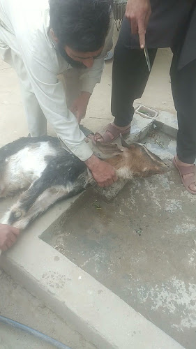 9HP6+MC6، 3626، العوايشة، تبوك 47914