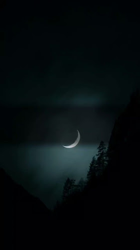 قهوة الفنار - الضيافة