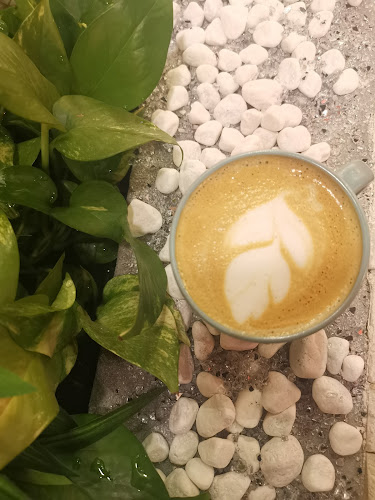 جاسيلا كافيه - الخبر