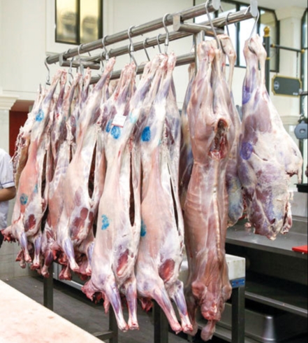 Opinii despre سوق اللحوم و الأسماك în الخرج - الضيافة